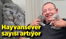 Hayvansever sayısı artıyor