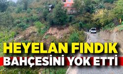 Çatalağzı’nda heyelan: Fındık bahçesi yok oldu