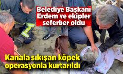 İtfaiye kanala sıkışan köpek için seferber oldu