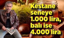 Kestane seneye bin lira, balı 4 bin