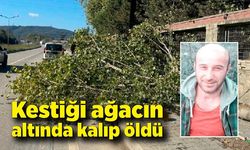 Kestiği ağacın altında kalıp öldü