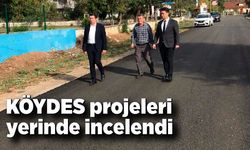 KÖYDES projeleri yerinde incelendi