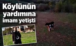 Köylünün yardımına imam yetişti! Kayıp hayvanlar dron ile bulundu