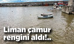 Zonguldak'ta deniz çamur rengini aldı