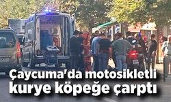 Çaycuma'da motosikletli kurye köpeğe çarptı