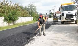 Otluoğlu'nda hummalı çalışma