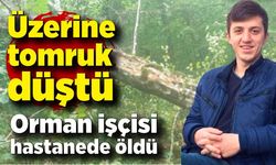 Üzerine tomruk düşen işçi, 1 ay sonra hastanede öldü