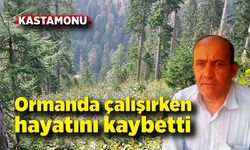 Ormanda çalışırken hayatını kaybetti