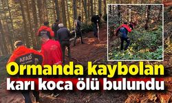 Ormanda kaybolan karı koca ölü bulundu; Hipotermi geçirdikleri düşünülüyor