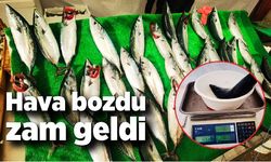 Hava bozdu, balığa zam geldi