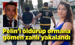 Pelin öldürüp ormana gömen zanlı yakalandı