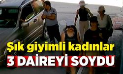 Şık giyimli kadınlar, 3 daireden 950 bin liralık ziynet eşyası çaldı