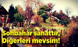 Sonbahar sanattır, diğerleri mevsim!