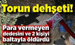 Torun dehşeti: Para vermeyen dedesini ve 2 kişiyi öldürdü