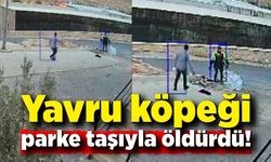 Yavru köpeği parke taşıyla öldüren şüpheli gözaltına alındı