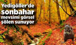 Yedigöller'de sonbahar mevsimi görsel şölen sunuyor