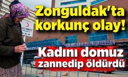 Zonguldak'ta dehşet! Kadını domuz zannedip öldürdü