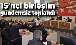 İl genel meclisi 15'nci birleşiminde gündemsiz toplandı