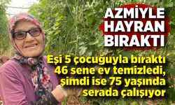 Kocası 5 çocuğuyla bırakıp kaçınca 46 sene ev temizledi, şimdi ise 75 yaşında serada çalışıyor