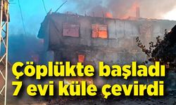 Çöplükte başlayan yangın 7 ev ve 4 hayvan barınağı küle çevirdi