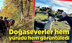 Doğaseverler hem yürüdü hem görüntüledi