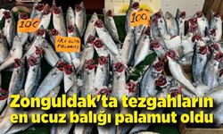 Zonguldak'ta tezgahların en ucuz balığı palamut oldu