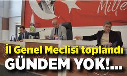 İl Genel Meclisi toplandı! Gündem yok....