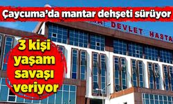 Çaycuma’da mantar dehşeti sürüyor: 3 kişi yaşam savaşı veriyor