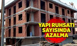 Yapı ruhsatı sayısında azalma