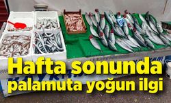 Hafta sonunda palamuta yoğun ilgi