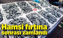 Hamsi fırtına sonrası zamlandı