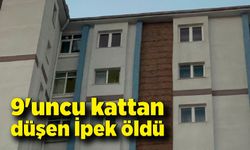 9'uncu kattan düşen İpek öldü