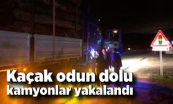 Bolu’da kaçak odun dolu kamyonlar yakalandı