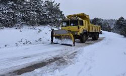 Kar sonrası kapanan tüm köy yolları ulaşıma açıldı