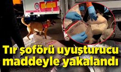 Tır şoförü uyuşturucu maddeyle yakalandı