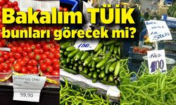 Bakalım TÜİK bunları görecek mi?