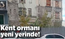 Kent ormanı yeni yerinde!