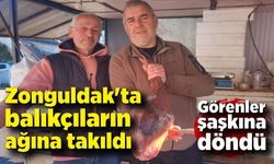 Zonguldak'ta balıkçıların ağına takıldı! Görenler şaşkına döndü