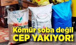 Kömür soba değil cep yakıyor