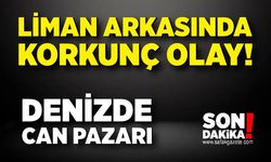 Liman arkasında korkunç olay! Denize atladı