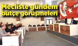 İl genel meclisinde bütçe görüşmeleri başladı