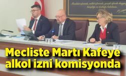 Martı Kafeye alkol izin maddesi komisyonda