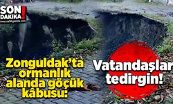 Zonguldak’ta ormanlık alanda göçük kabusu: Vatandaşlar tedirgin!