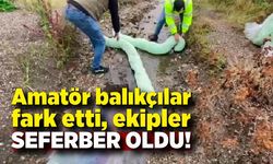 Amatör balıkçılar fark etti, ekipler seferber oldu