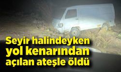 Seyir halindeyken yol kenarından açılan ateşle öldü