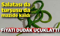 Salatası da turşusu da mazide kaldı