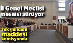 İl Genel Meclisi mesaisi sürüyor; Tek gündem maddesi komisyonda