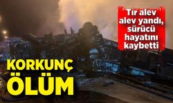 Kaza yapan tır alev alev yandı: Sürücü hayatını kaybetti