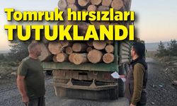 Tomruk hırsızları yakayı ele verdi: Tutuklandılar