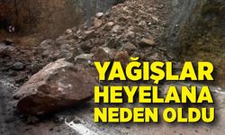 Yağışlar heyelana neden oldu